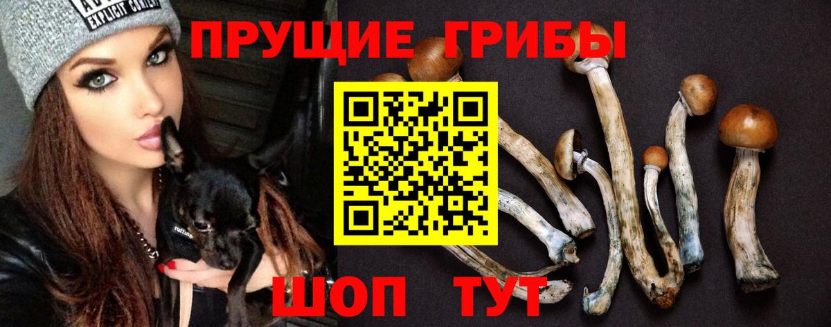 Балашиха  наркотики  Вход с VPN  Галлюциногенные грибы ЛСД  Псилоцибиновые грибы GOLDEN TEACHER 